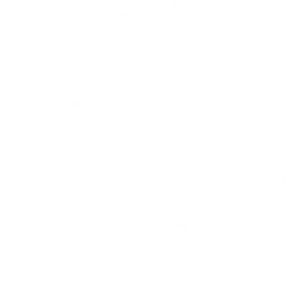 Icon Telefon